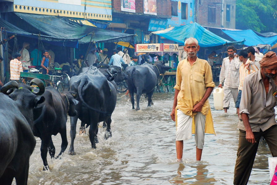 Weakening Trends in the South Asian Monsoon